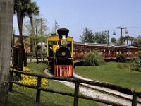 Florida - Tampa - Busch Gardens - Train